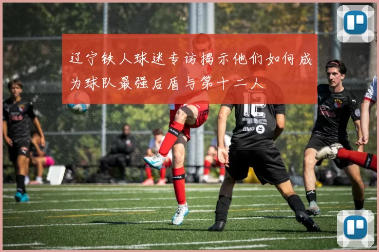 辽宁铁人球迷专访揭示他们如何成为球队最强后盾与第十二人